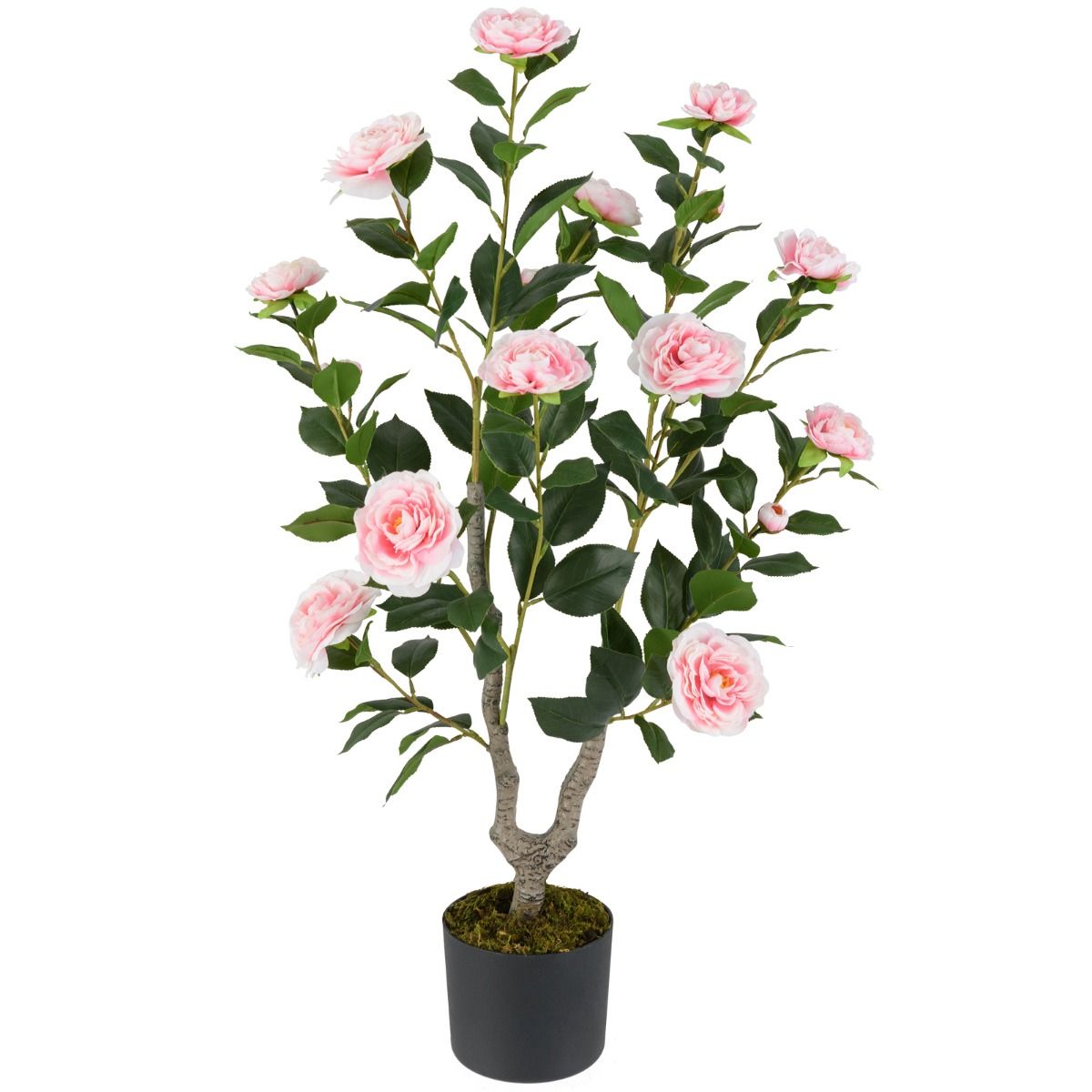 Line kunstig plante