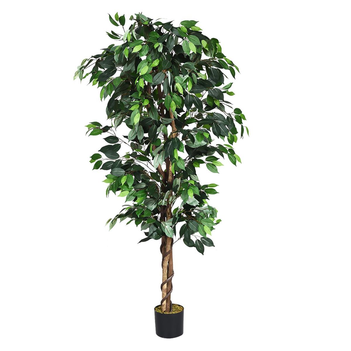 Clara kunstig plante